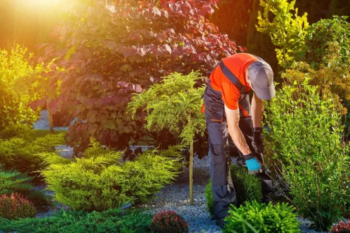 Landscaper in Salem, UT Landscaper in Salem, UT