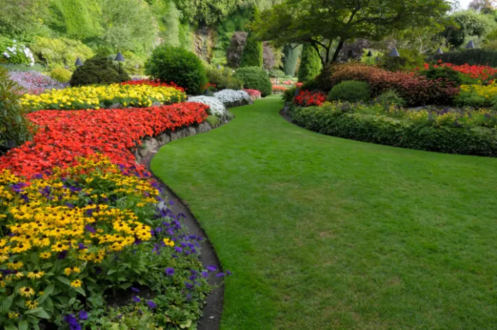 Lazy Landscaping LLC's Other Services Lazy Landscaping LLC's Other Services