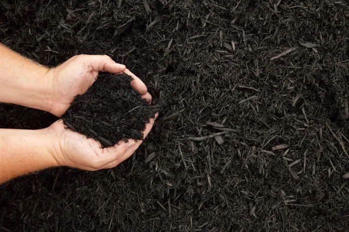Mulching Mulching