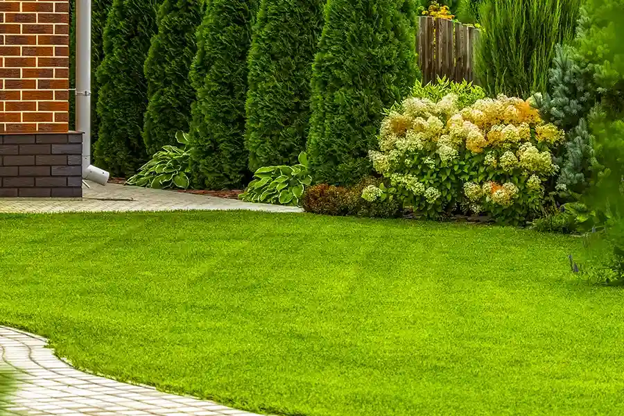 Affordable Lawn Care Services Salem, UT Affordable Lawn Care Services Salem, UT