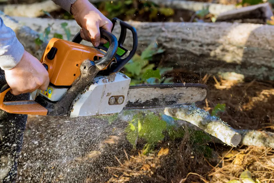 Expert Tree Services Salem, UT