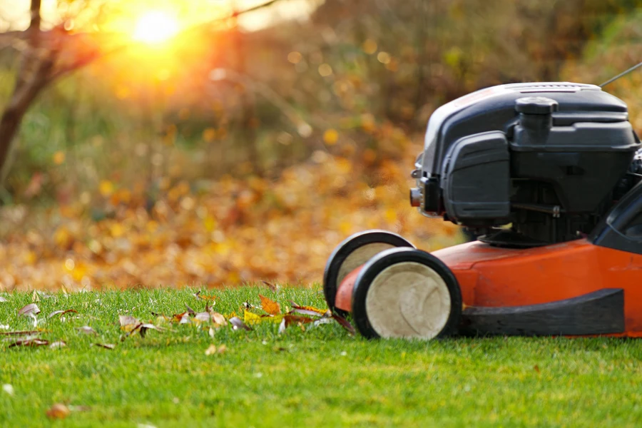 How Lawn Care Services Keep Your Yard Healthy Year-round in Salem, UT How Lawn Care Services Keep Your Yard Healthy Year-round in Salem, UT