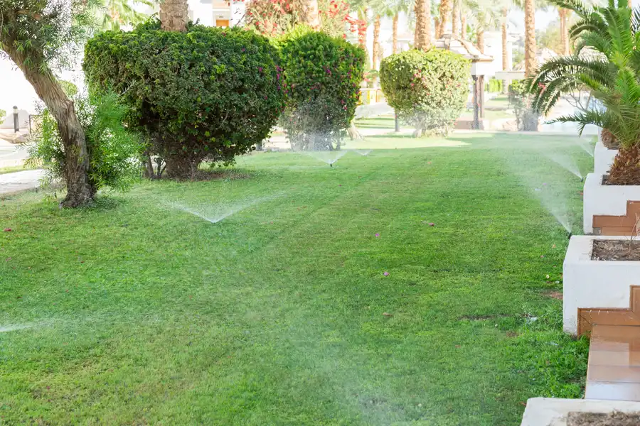 How To Identify Common Sprinkler Repair Issues Early Salem, UT How To Identify Common Sprinkler Repair Issues Early Salem, UT
