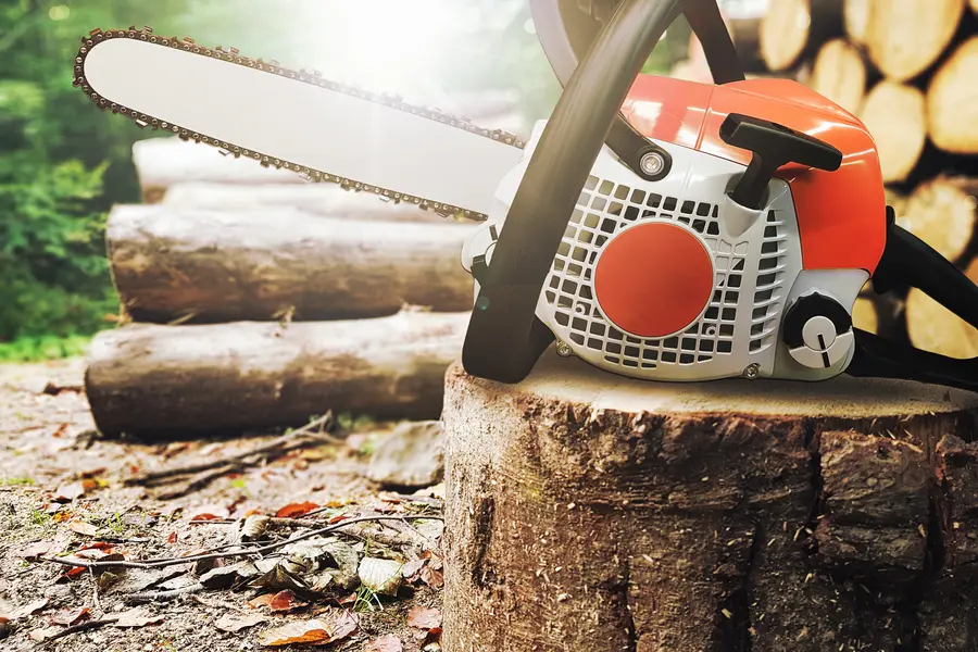 How Tree Services Can Enhance Your Landscapes Appearance in Salem, UT How Tree Services Can Enhance Your Landscapes Appearance in Salem, UT