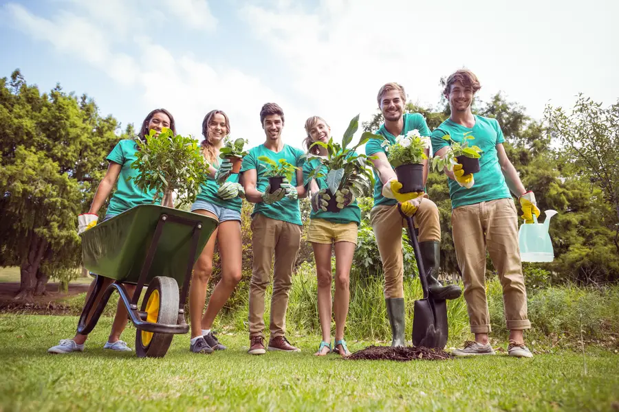 Key Factors To Consider When Choosing Tree Planting Services Salem, UT Key Factors To Consider When Choosing Tree Planting Services Salem, UT