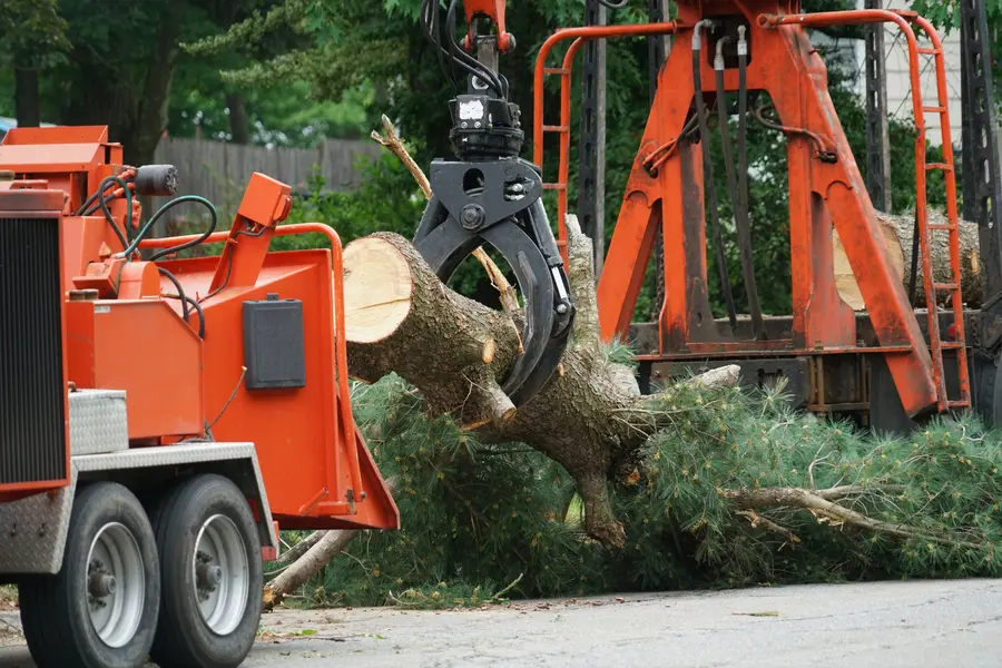 Local Tree Services Salem, UT