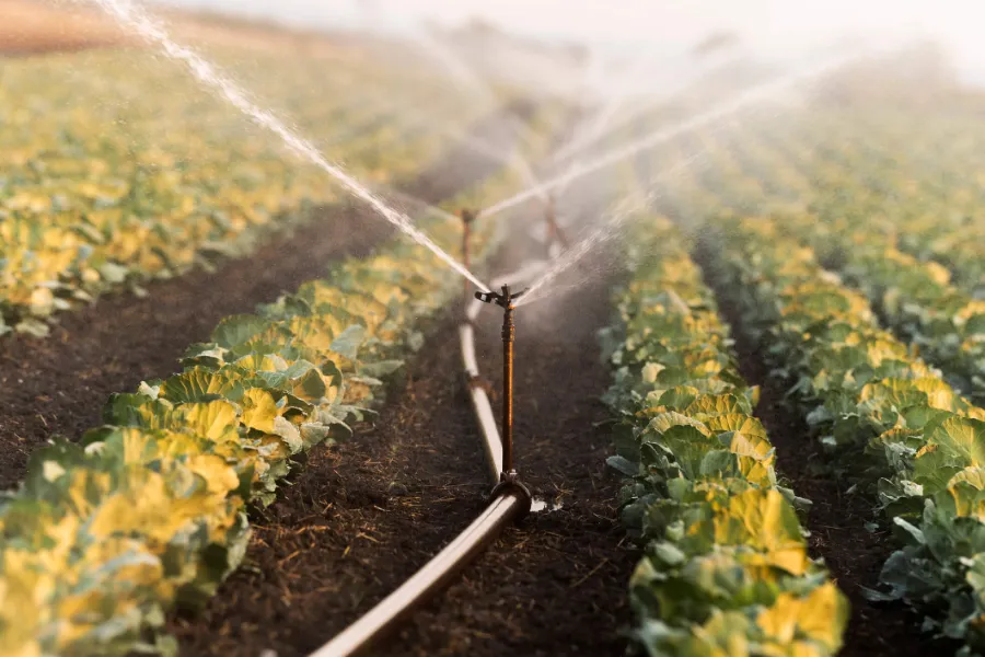 Reliable Sprinkler Repair Salem, UT Reliable Sprinkler Repair Salem, UT
