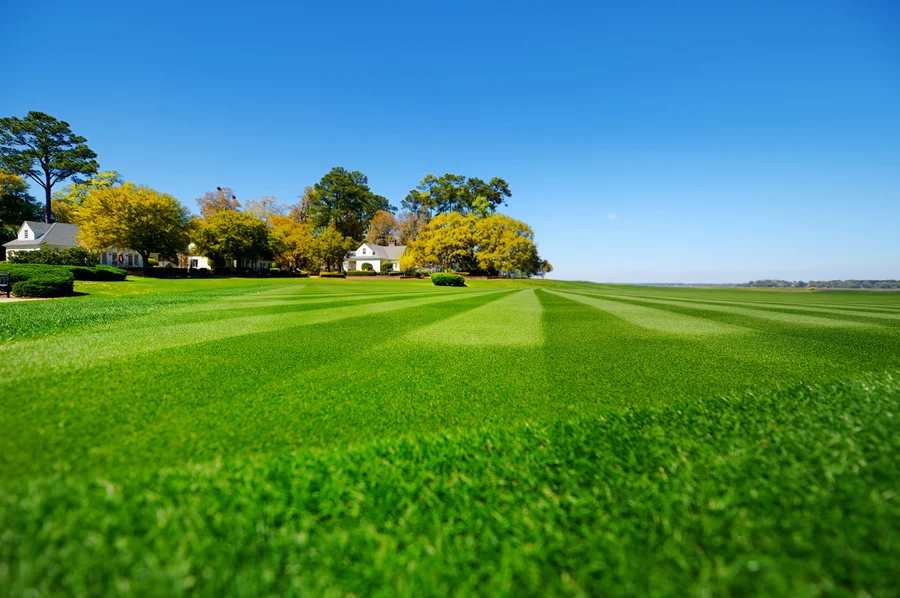 The Role Of Lawn Care Services In Preventing Weed Growth in Salem, UT The Role Of Lawn Care Services In Preventing Weed Growth in Salem, UT